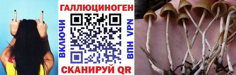 Галлюциногенные грибы GOLDEN TEACHER  Купить где  Заполярный 