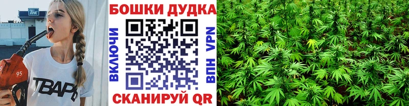 Купить  Заполярный  Конопля план 